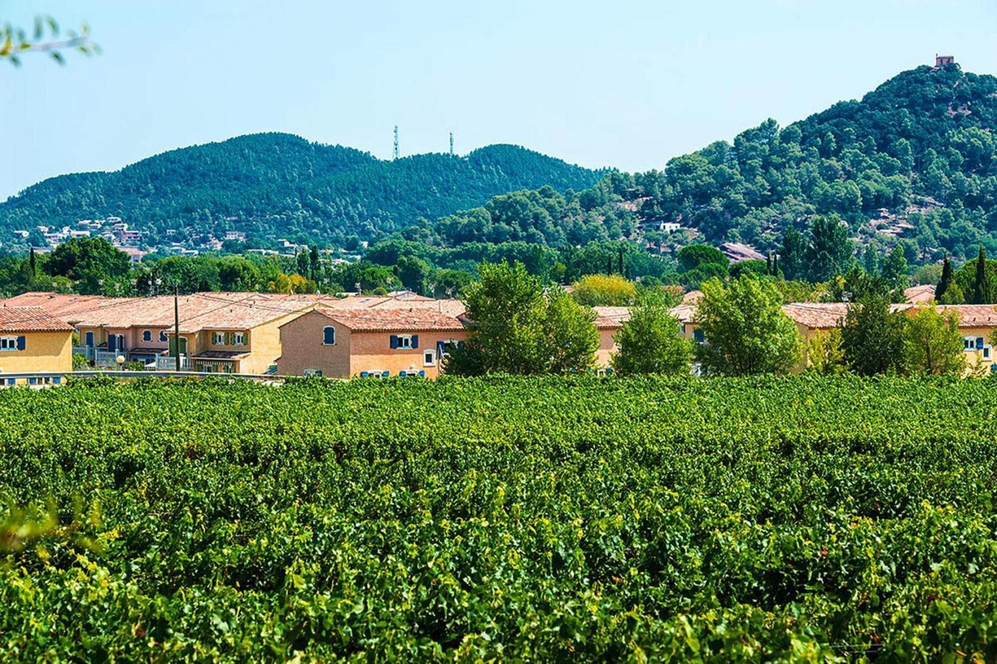 Terraced House With Air Conditioning In The Residence Le Clos Des Oliviers Vidauban Exterior foto